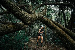 BIB: 
                            <button type="button" onclick="openModal(25707343)" class="btn btn-primary btn-sm float-right btn-popup" data-toggle="modal" data-target=".modal-high-quality">
                        <i class="fas fa-shopping-cart"></i> Add to Cart
                    </button>
                                            <button type="button" onclick="isThisMe(25707343, true)" class="btn btn-success btn-sm float-right btn-popup btn-isme hidden" data-toggle="tooltip" data-placement="bottom" title="นี่คือรูปของคุณใช่ไหม คลิกที่นี่เพื่อเอาเข้าอัลบั้ม">
                        <i class="fas fa-plus"></i> Add to album
                    </button>
                    <button type="button" onclick="isThisMe(25707343, false)" class="btn btn-warning btn-sm float-right btn-popup btn-isnotme hidden">
                        <i class="fas fa-ban"></i> Remove from album
                    </button>